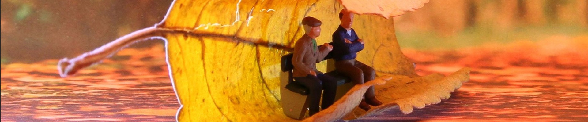 Pečovatelská služba, podzim života